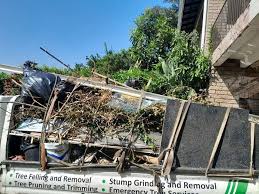 Best Construction Debris Removal in Wilkesboro, NC